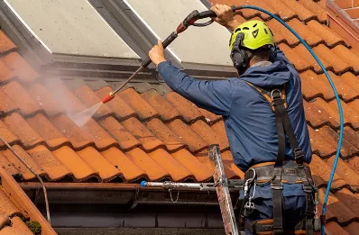 Démoussage et hydrofuge de toiture à Serrières